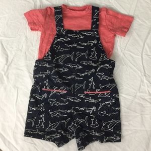 Boys Crown & Ivy Short Tall 24 Month